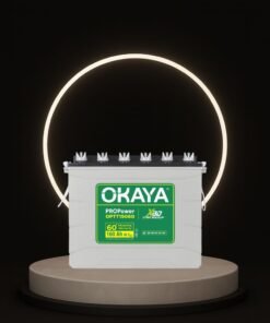 OKAYA PRO Power OPTT19060 160Ah Tall Tubular Inverter Battery